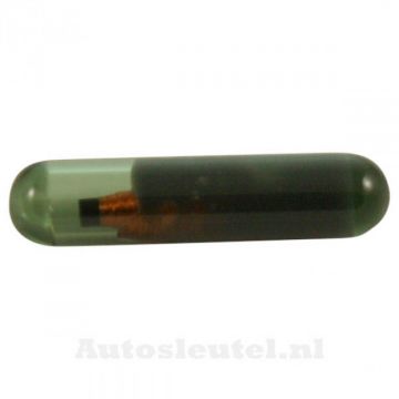 MEG-CR ID48-A4-transponder för Skoda Image